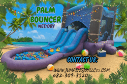 Palm Bouncer Combo